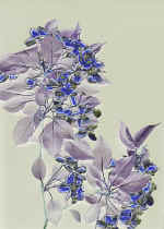 "������"