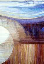 Shaggy Cosmos (volume gobelin)120�90(fragment)