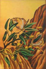 �������. "���� � �����". ������ �����.