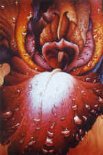 "����". �., �.