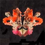 ���� - ����������