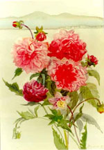 �������, ���., �., 1993 52�36