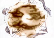  ������ "�����, �����" ������� ����� 21�29 