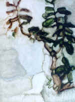 ������ �� �����. 1995. �., ���., �����. 56*42.