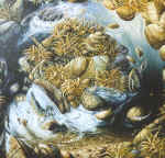 ������ 1997. 95: 95��. �����, �����. ������� ���������. ������������. ������. 