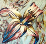  ������� 1996. 60:60 ��. �����, �����. ������������� ������. ������������. ������.