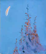  "����� ����� ����-���" 84�69 ���,�. 1999�.