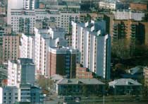 ���� �� ����������