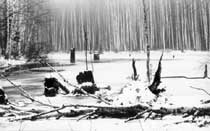 ������� �����